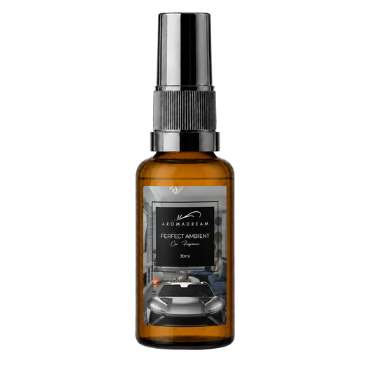 Autoduft Spray Perfect Ambient von Aromadream, kompakte Sprayflasche fürs Auto